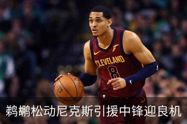 鹈鹕松动尼克斯引援中锋迎良机